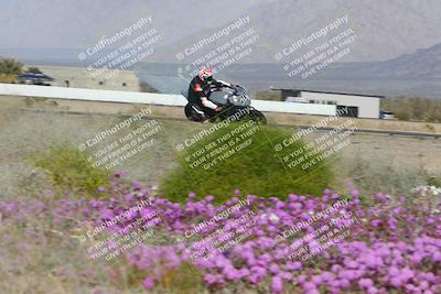 media/Feb-04-2023-SoCal Trackdays (Sat) [[8a776bf2c3]]/Turn 15 Inside Blooming (1050am)/